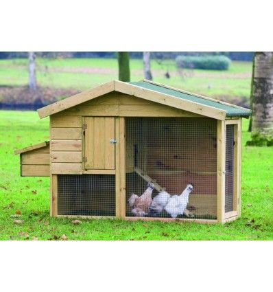 Imagen principal del producto