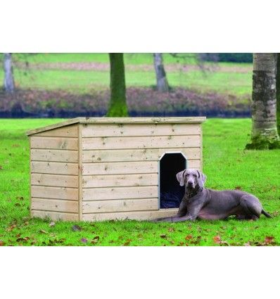 Imagen principal del producto