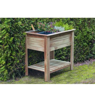 Imagen principal del producto