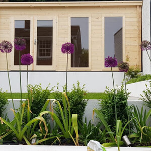 Casas de Madera Elche - 18 m2 - Diáfana - Modelo Annabel - Casas de madera ANNABEL - HOBYCASA - flores