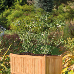 JARDINERA DE TECA  DE 50X100 CMS - JARDINERA DE TECA  DE 50X100 CMS