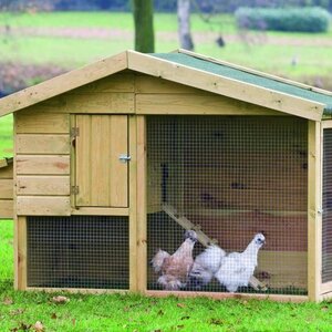 Gallinero de Medidas 218x78x136 cms - GALLINERO DE MEDIDAS 218x78x136 CMS