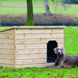 Casa para perro de raza mediana de medidas 130X93X97 cms - CASA PARA PERRO DE RAZA MEDIANA DE MEDIDAS 130X93X97 CMS