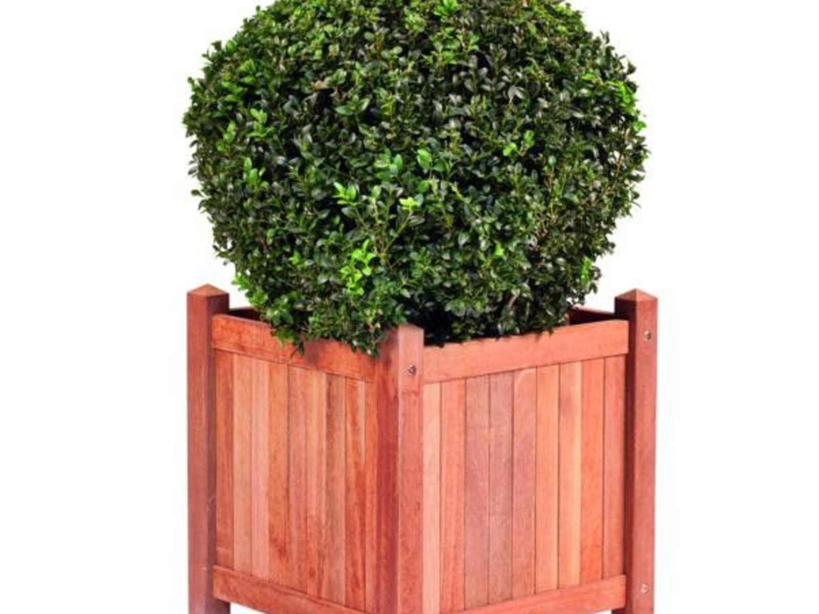 Imagen principal del producto