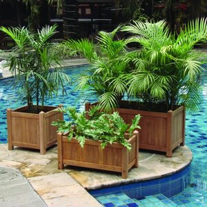 JARDINERA DE TECA  DE 45X45 CMS - JARDINERA DE TECA  DE 45X45 CMS - EJEMPLO