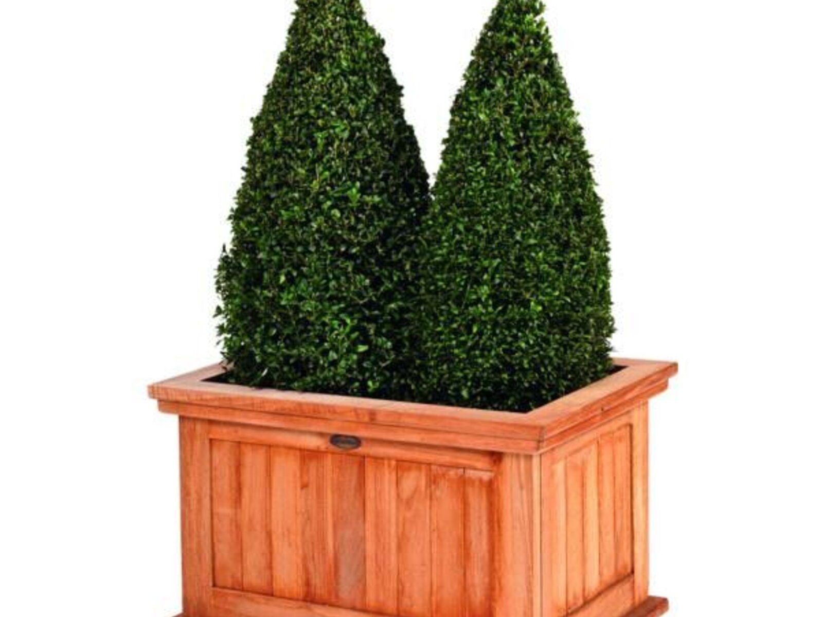 Imagen principal del producto
